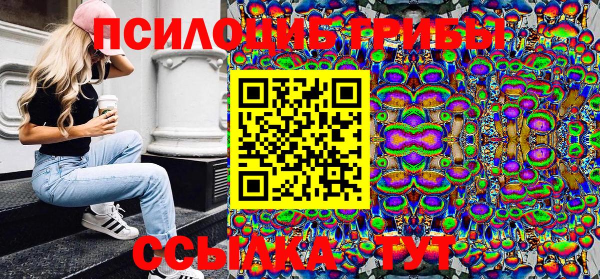 Галлюциногенные грибы прущие грибы  Галлюциногенные грибы Psilocybe  Черкесск  Вход с VPN 