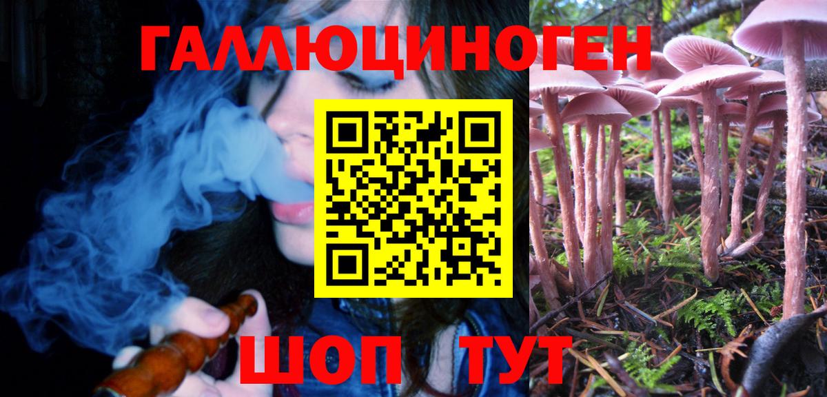 Галлюциногенные грибы MAGIC MUSHROOMS Черкесск